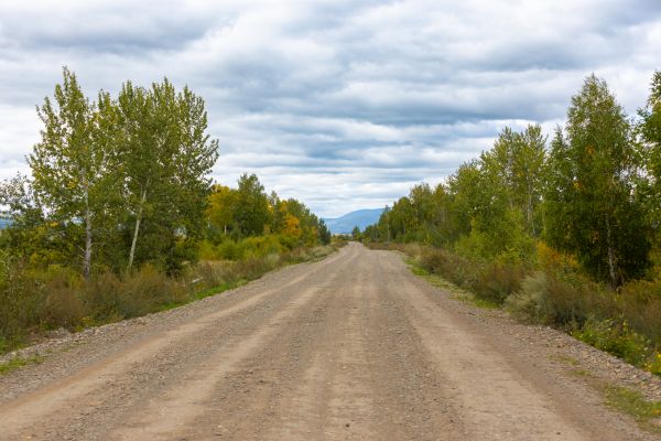 Dirt Road Repair in Puyallup